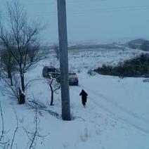 Под Новотроицком в кювет слетел водитель, уходивший от лобового столкновения