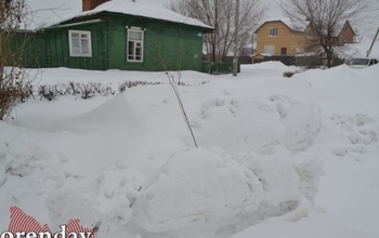 В сквере у Дома памяти коммунальщики без любви растят молодые деревца