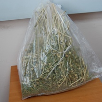 В Оренбургской области таможенники снова задержали мужчину с пакетом травы из Казахстана