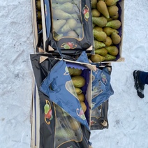 В Оренбургской области уничтожат 37 тонн польских груш