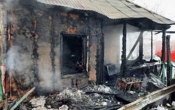 В Переволоцком районе во время пожара погиб человек (18+)