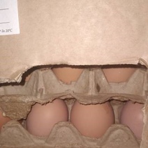 В Оренбургскую область пытались незаконно ввезти 302 тысячи яиц из Казахстана