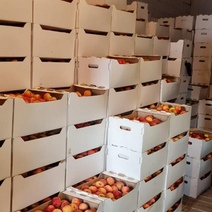 В Орске на рынке обнаружили более 15 тонн фруктов без документов