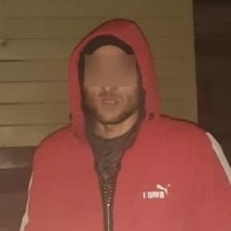 Оренбургские полицейские задержали в Ульяновске «ночного шмеля»