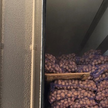 Из Оренбуржья пытались незаконно вывезти 20 тонн картофеля