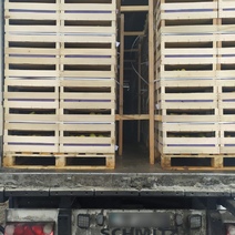 В Оренбургской области изъяты 19 тонн санкционных груш