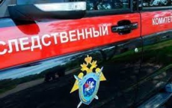 В Илекском районе женщина зарубила знакомого топором (18+)