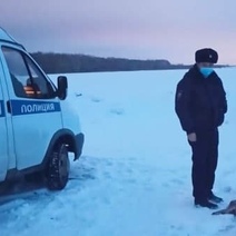 Охотник на собак теперь появился и под Оренбургом