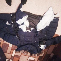 Пять минут ада: В Оренбурге на девочку напала стая собак (18+)