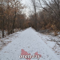 Что в Оренбурге в лесополосе на Березке сделают за 274 миллиона рублей