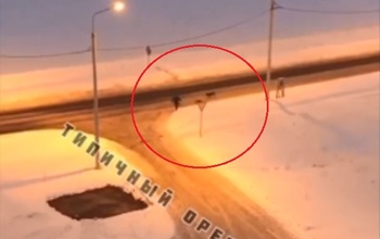 Новое нападение собак на ребенка в Оренбурге: мальчишку выгнали на дорогу