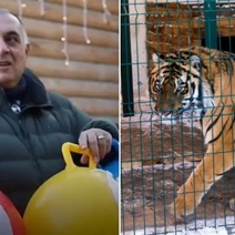 Тигренок Гектор предсказал победу российской олимпийской сборной