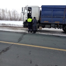 Из Оренбуржья запретили вывезти в Киргизию 42 тонны нута