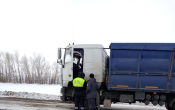 Из Оренбуржья запретили вывезти в Киргизию 42 тонны нута
