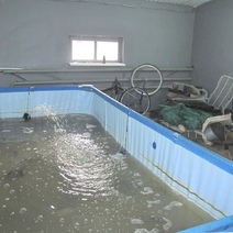 Ухи не будет: в Сорочинске мужчина выловил из чужого бассейна 38 кг рыбы