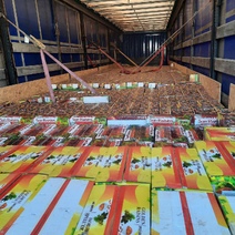 В Оренбуржье запретили ввезти из Казахстана и Киргизии очередные партии овощей