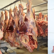 В Бугуруслане пять организаций хранили мясо и молочку с нарушением