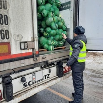 В Оренбургскую область в 2022 году ввозили овощи и фрукты только из восьми стран