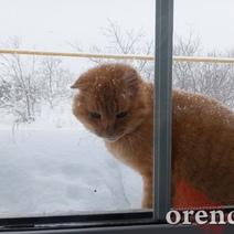 В Оренбургской области в субботу ожидается мокрый снег, а в воскресенье - без осадков