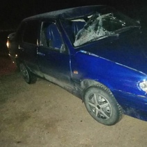 В Оренбуржье под колёсами ВАЗа погиб мужчина (18+)