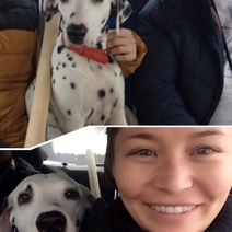 Оренбурженка два года искала пропавшую собаку, пока не наткнулась на объявление на сайте