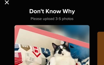 Оренбуржцы не смогут выкладывать видео и вести прямые эфиры в Тik Tok