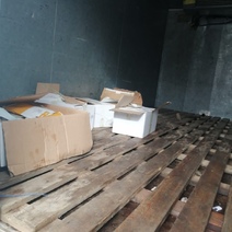 В Оренбуржье из Казахстана поступила партия семян кукурузы и лука без этикеток