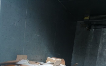 В Оренбуржье из Казахстана поступила партия семян кукурузы и лука без этикеток