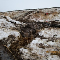 В Оренбургской области организация ответит за разлив соляной кислоты на почву и в реку из-за ДТП