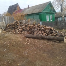 Лесоруба из Тюльганского района оштрафовали на 200 000 рублей