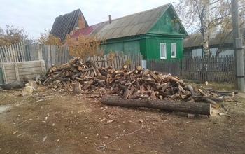 Лесоруба из Тюльганского района оштрафовали на 200 000 рублей