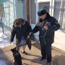 В Соль-Илецке полицейские несколько дней искали пропавшего щенка