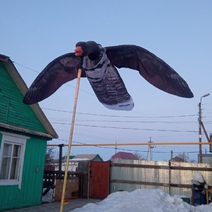 Охотники южной зоны Оренбуржья из-за горе-чиновников могут лишь помахать уткам