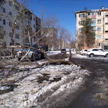 В Оренбурге ветер повредил кровлю на 9 зданиях и повалил 7 деревьев