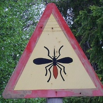 На борьбу с комарами и клещами в Оренбурге выделили чуть более 200 000 рублей