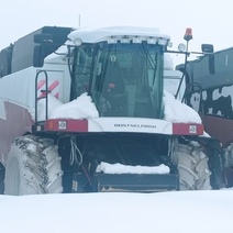 Комбайнер из Первомайского района ответит за кражу семян подсолнечника и ГСМ