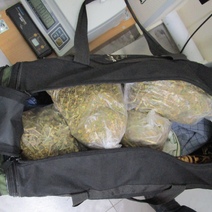 В Оренбургскую область снова пытались ввезти запрещенную траву