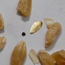 В Оренбуржье установили организацию, недостоверно зарегистрировавшую 25 тысяч тонн зерна