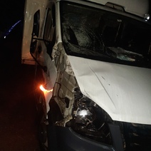 В Новосергиевском районе водитель грузовой Газели насмерть сбил пешехода (18+)