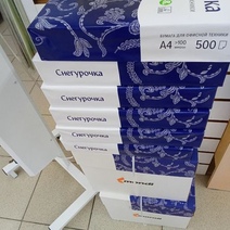 В Правительстве Оренбуржья покупают «Снегурочку» за 3,2 млн. рублей