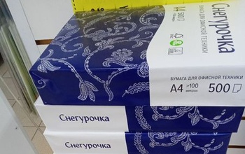 В Правительстве Оренбуржья покупают «Снегурочку» за 3,2 млн. рублей