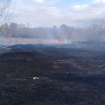 Первый природный пожар в 2022 году: в Городище загорелась сухая трава в лесу
