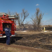В Красногвардейском и Новосергиевском районах загорелась сухая трава