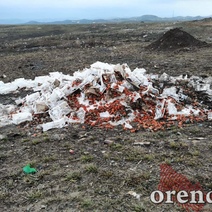 В Медногорске до свалки не довезли чеснок и помидоры
