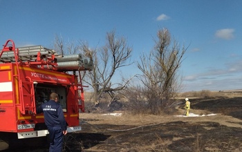 В Красногвардейском и Новосергиевском районах загорелась сухая трава