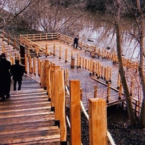 Оренбургский министр архитектуры Наталья Ибрагимова пожаловалась на вандалов