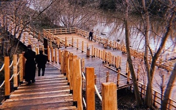 Оренбургский министр архитектуры Наталья Ибрагимова пожаловалась на вандалов