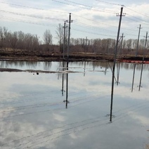 В поле после разгерметизации нефтепровода ООО «Газпромнефть Оренбург» осталось зловонное озеро