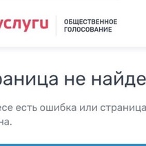 Оренбуржцы так и не могут проголосовать за общественные пространства