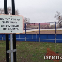 В Оренбурге третий год никому нет дела до проблем благоустроенного двора